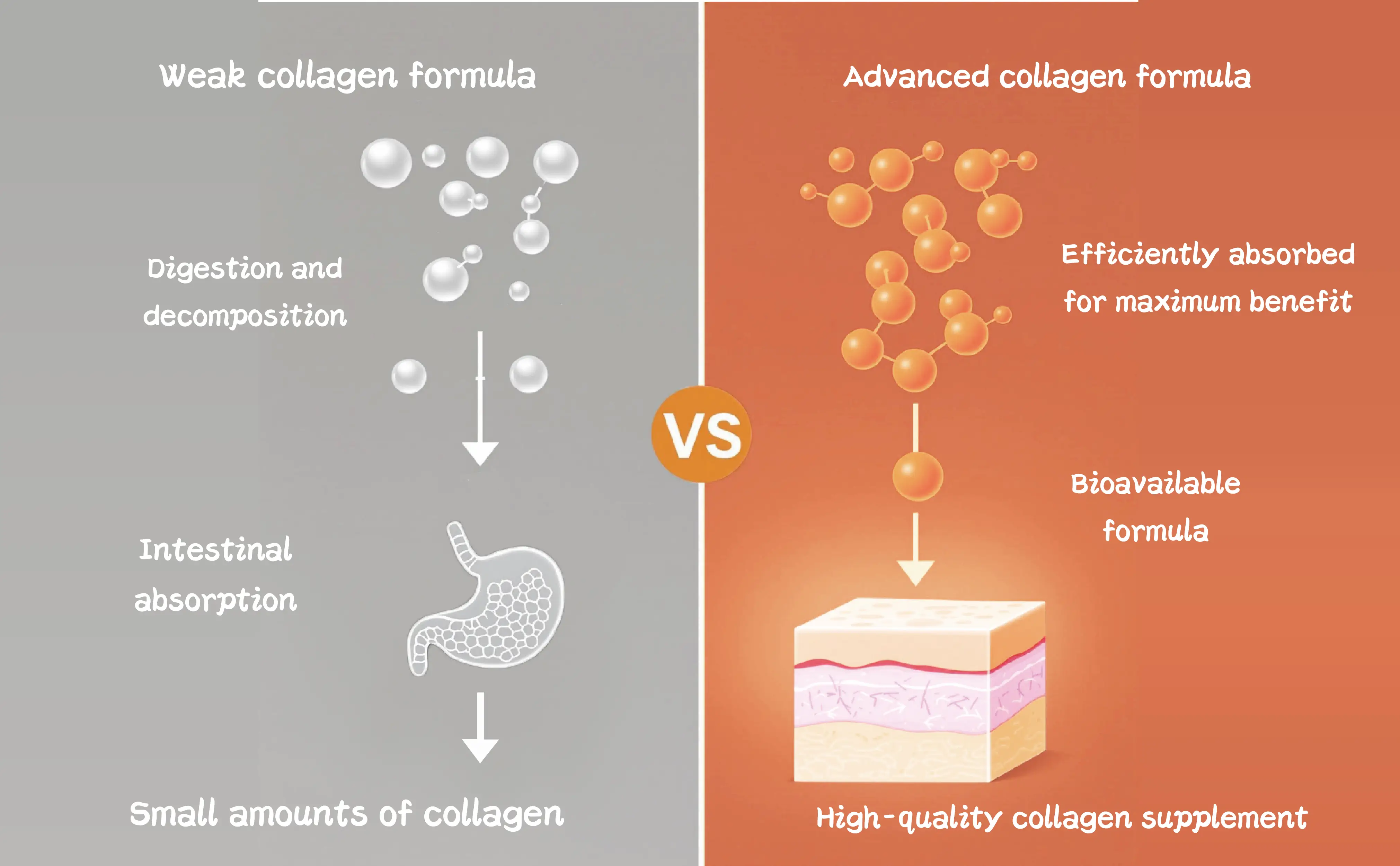 Grapefruit Collagen Gummies